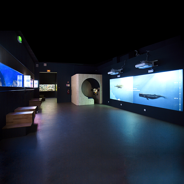 Galeries d'aquariums