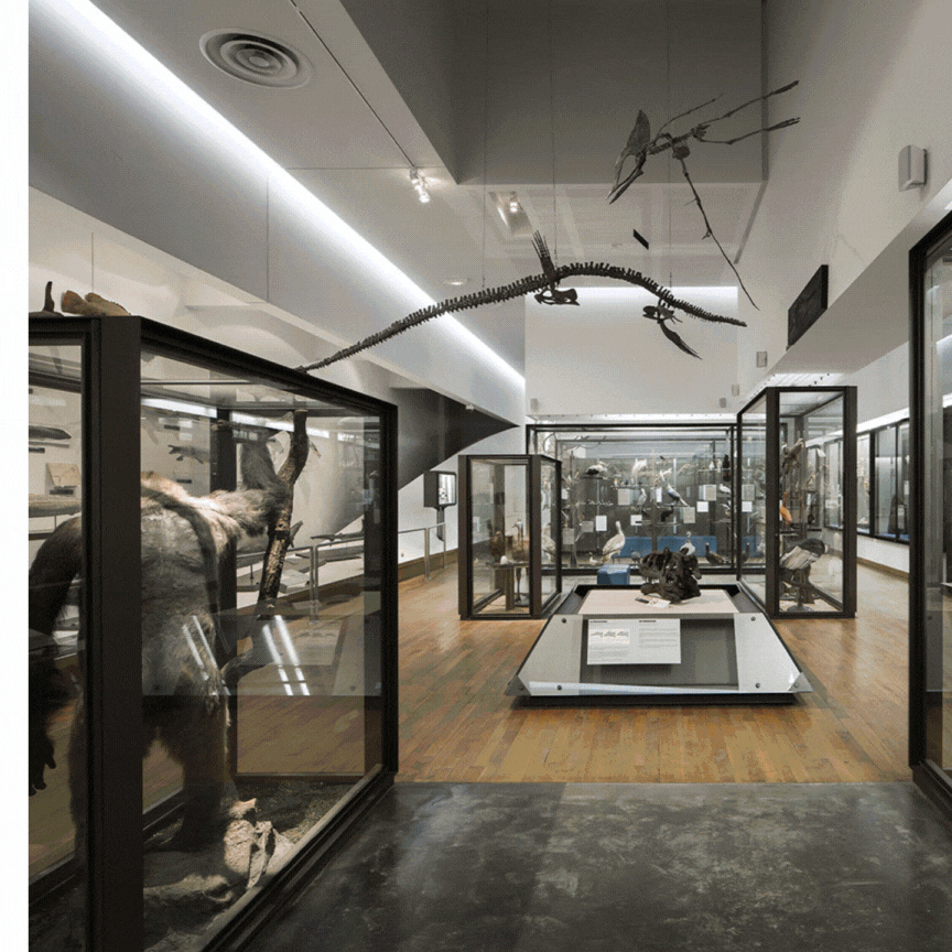 Galerie de Zoologie