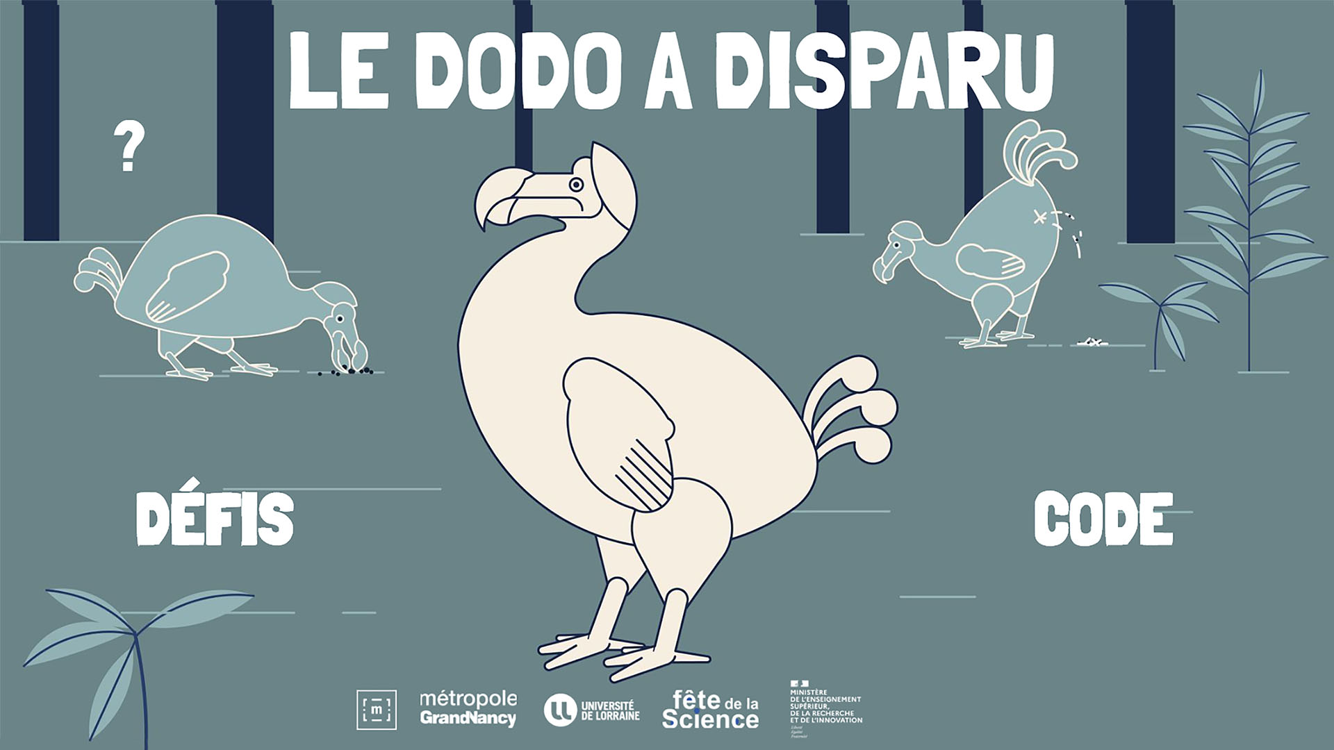 WEB-DOC - Le dodo a disparu