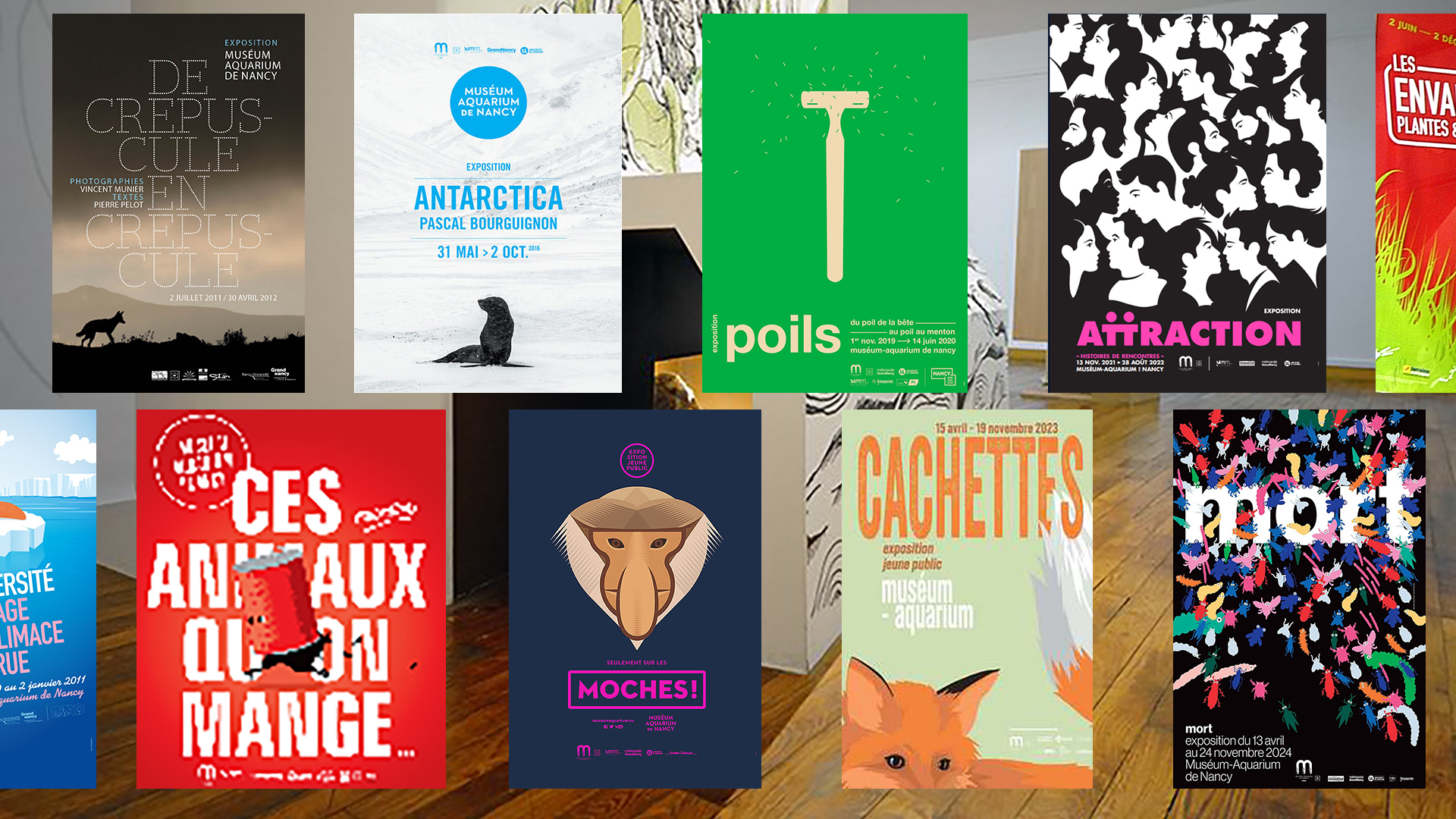 Expositions passées