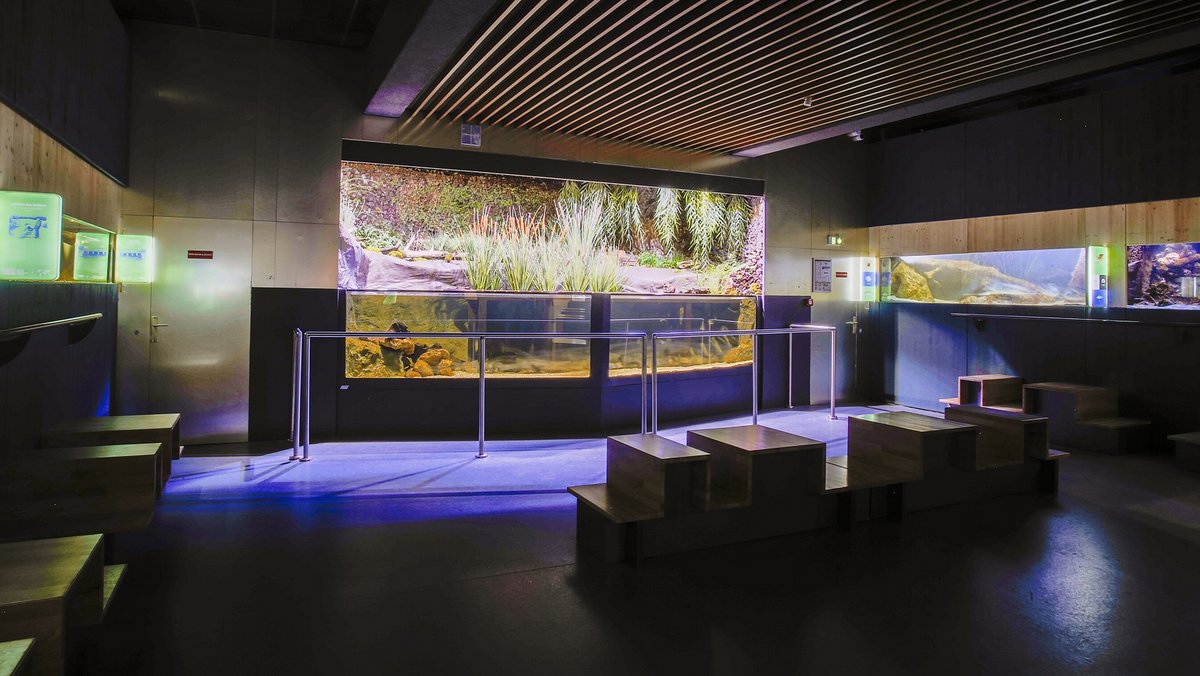 Galeries d'aquariums — MuséumAquarium de Nancy